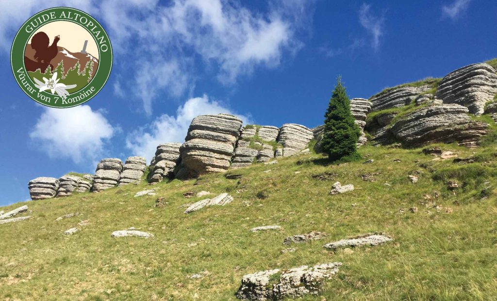 La montagna di Foza. Corone di monte Fior