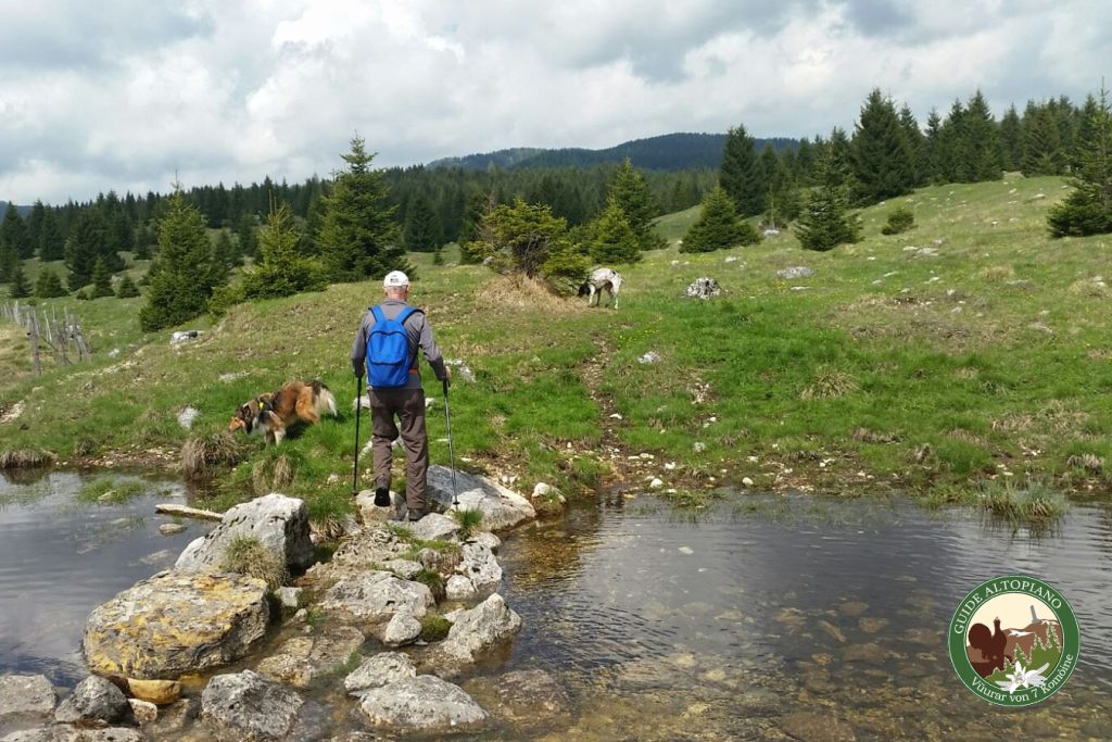 Escursione piana marcesina