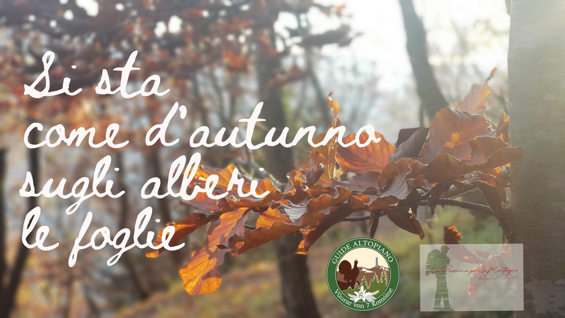 Escursione Autunno