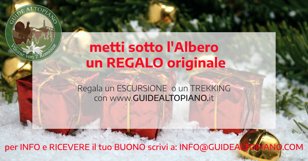 Natale Buono Guide Altopiano