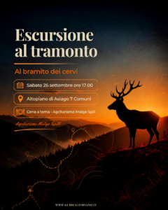 Le voci della Foresta