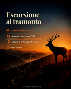 Le voci della foresta