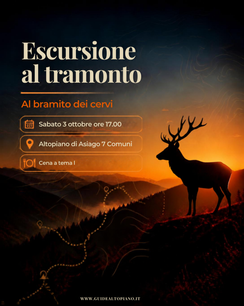 Le voci della foresta